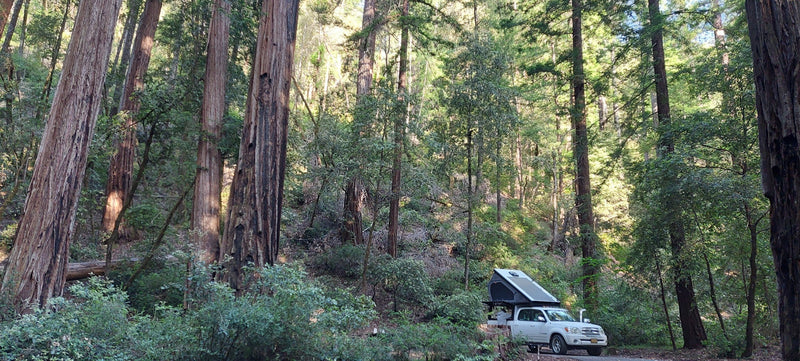 Blair's Toyota Tundra