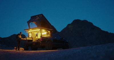 Interior Three Zone Lighting interior view showing tent peak light (view 8)